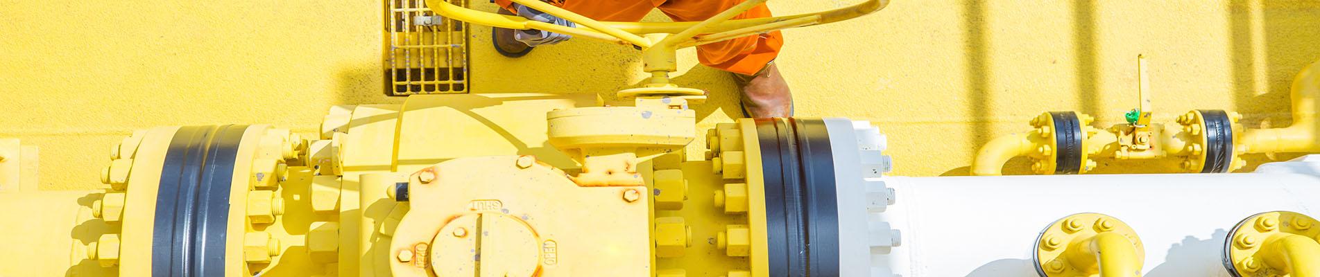 Stope leakage on damaged flanges