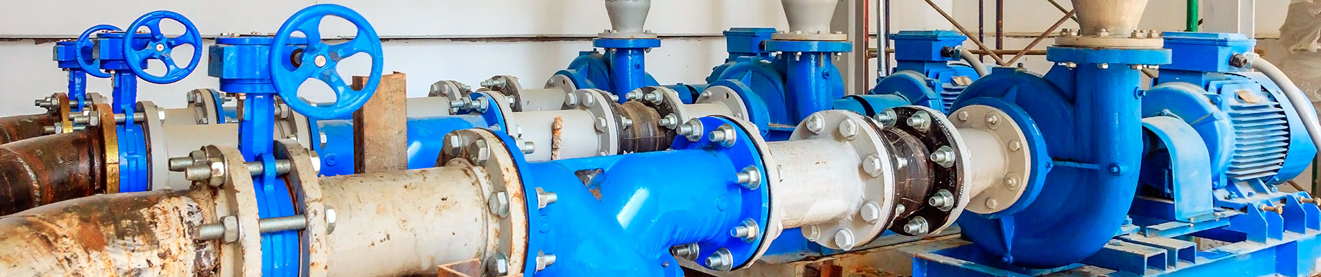 Protection of pump impellers