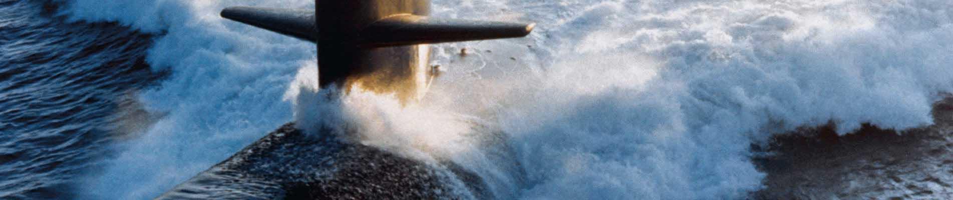 Surface protective coatings