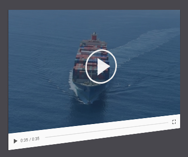 Video Marine (ML700)
